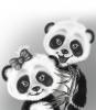 Panda Love