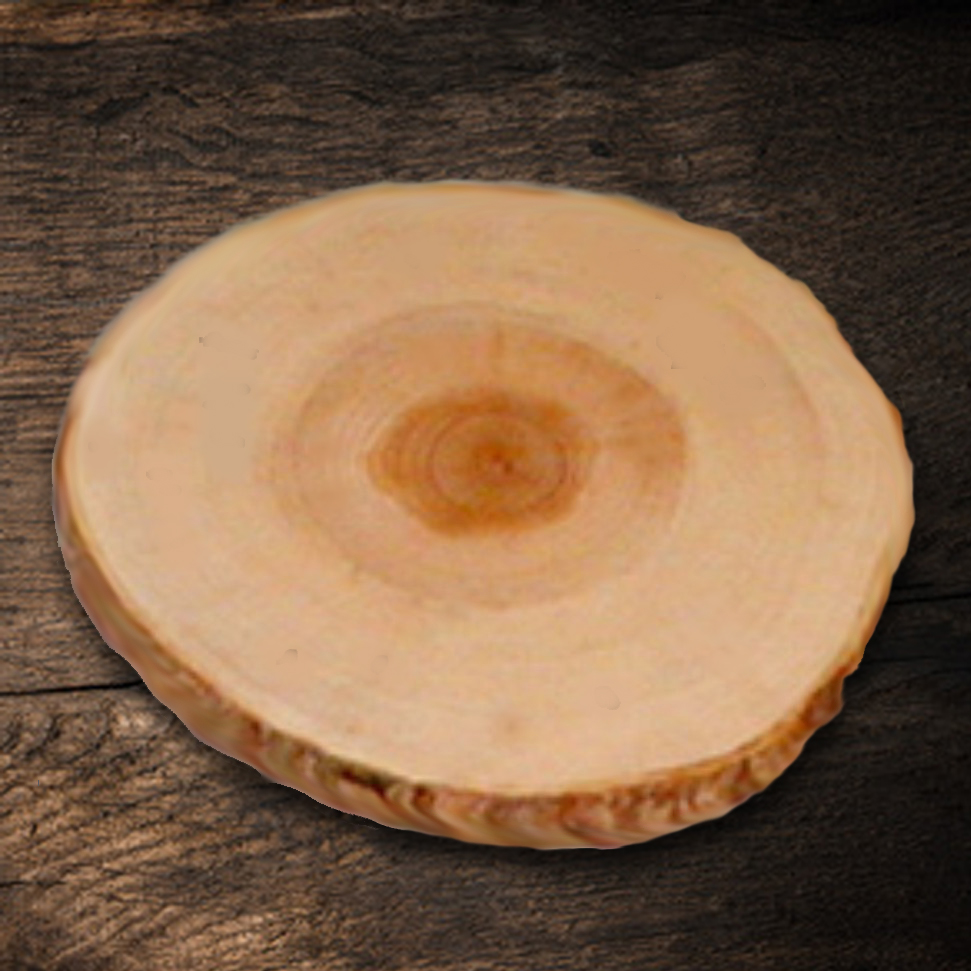 Baumscheibe für Verliebte mit Gravur 