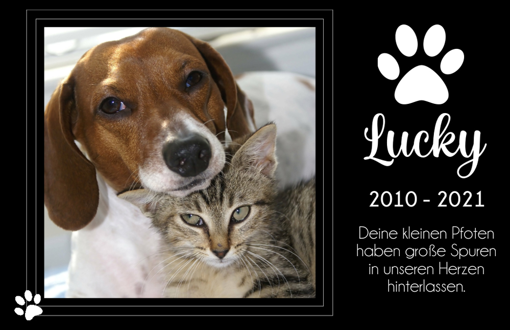 Schieferplatte als Erinnerung an deinen Hund individuell bedruckt 
