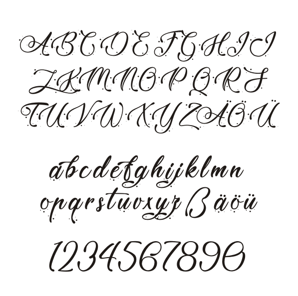 Brotdose aus Edelstahl mit Pferd und Namen graviert 